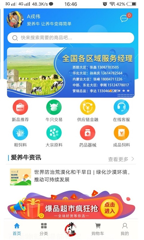 爱养牛