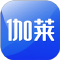伽莱图标