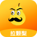 拉颗梨图标