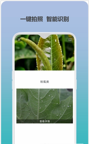 爱植保