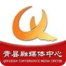 冀云青县免费版