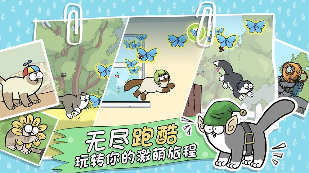 西蒙的猫