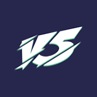 v5玩家图标