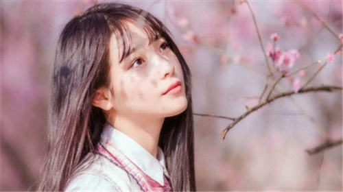 草莓香蕉丝瓜秋葵榴莲大全最新版