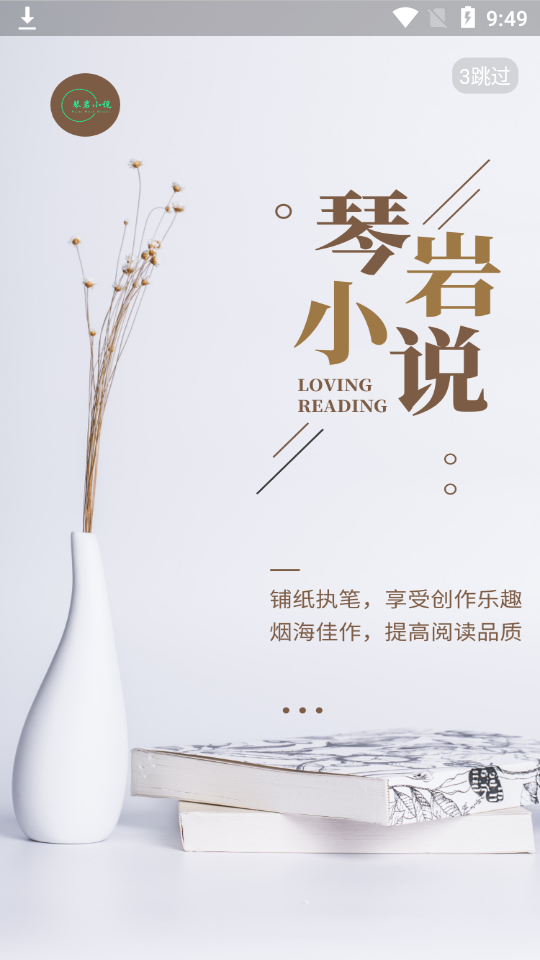 琴岩小说
