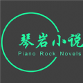 琴岩小说图标