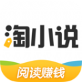 淘小说极速版图标