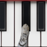 猫钢琴(Cat Piano)图标