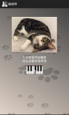 猫钢琴(Cat Piano)