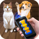 猫猫狗狗翻译器图标