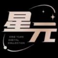 星元数藏图标