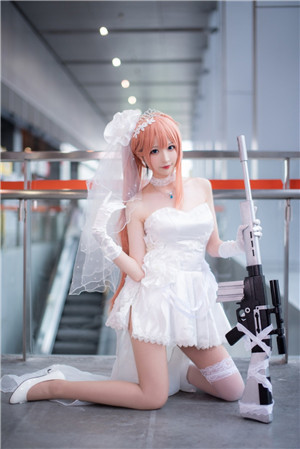 仙踪林大豆行情网www最新版