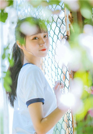 榴莲草莓丝瓜芭乐黄瓜葫芦娃