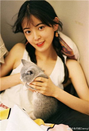 野花视频在线观看免费观看最新