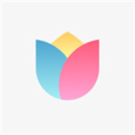 小米画报手机版免费