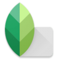 Snapseed手机修图软件