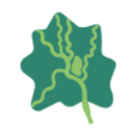 新津融媒app官方版