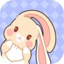 完美小组件app免费版安装