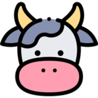 小牛加速器app官方版最新版