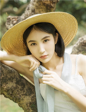 荷兰vodafone精品中文版