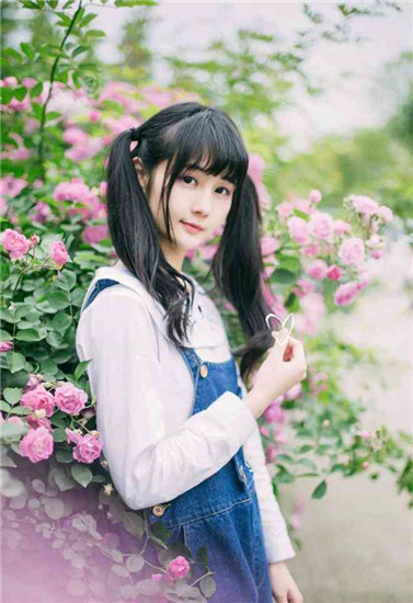 9277免费高清在线观看 1080P最新版