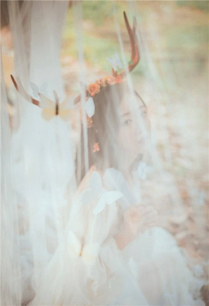 猫咪社区免费资源在线观看无限制