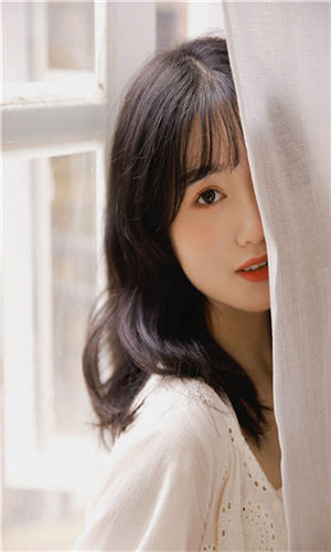 Javaparser日本免费版