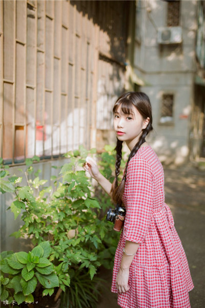 japonensisjava成熟欢迎您免费版