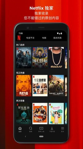 netflix中文版