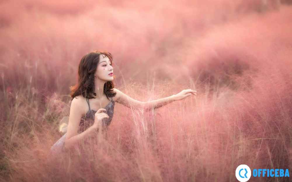 网友爆料一人㖭上面㖭下感扇贝更新频率加快，平台：还不是同行竞争过于激烈。