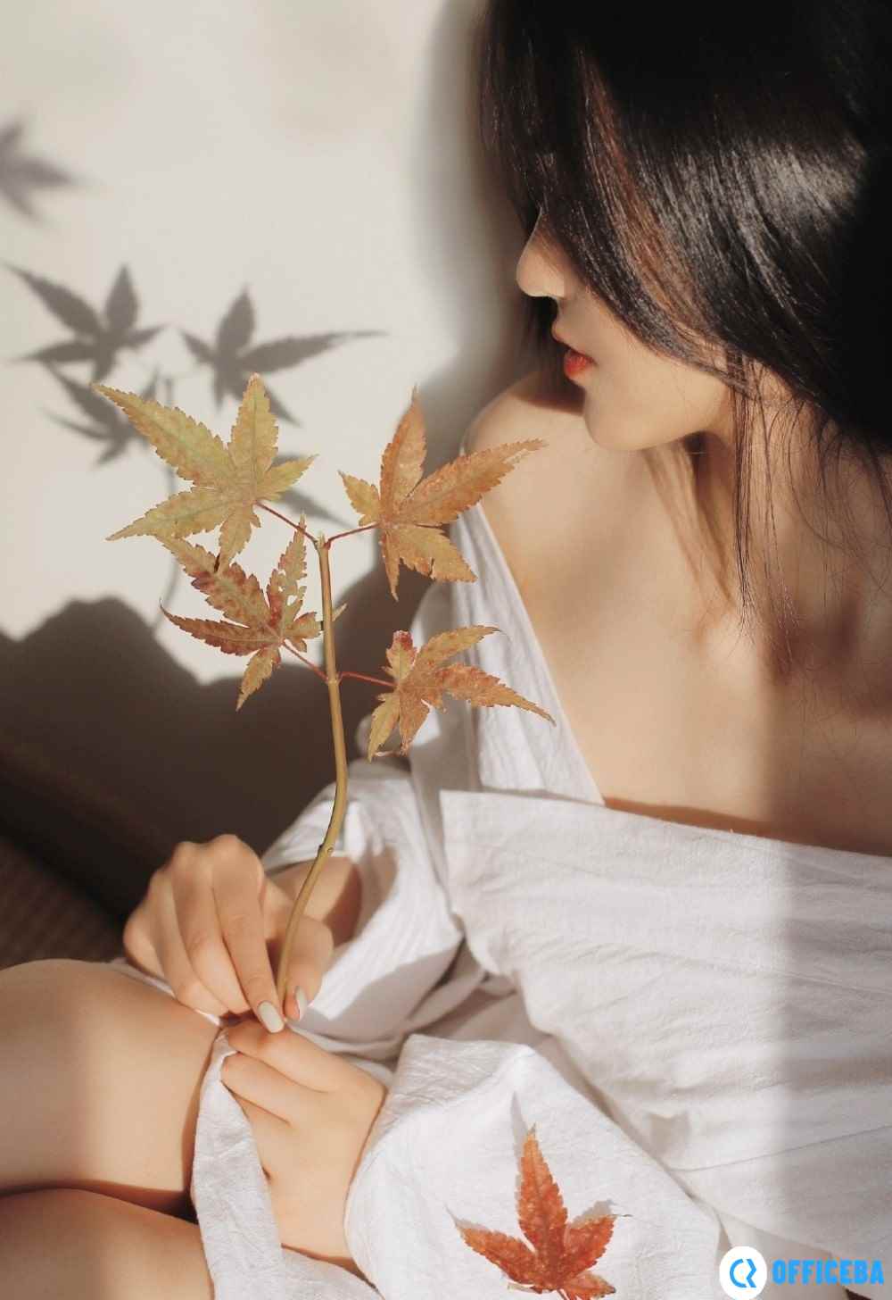 糖心vlog精品一区不用花钱？网友：千真万确！