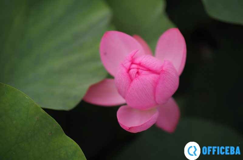 确善能正式发布福伦达SUPER NOKTON 29mm F0.8 Aspherical镜头