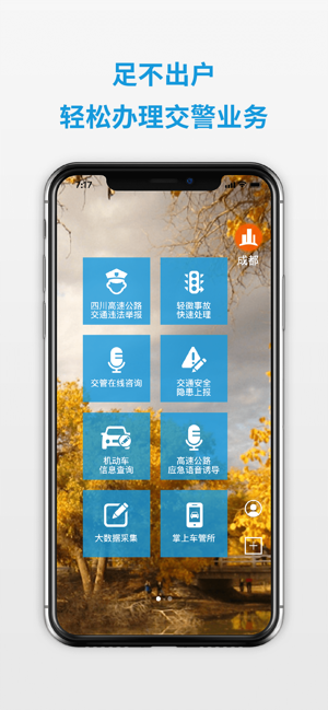 四川公安交警公共服务平台