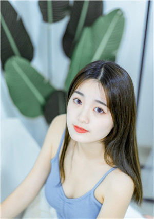 丝瓜黄瓜草莓香蕉鸭脖向日葵