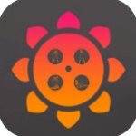 向日葵app官方下载网站入口