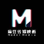 md传媒app入口免费苹果图标