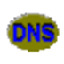 DNSDataView绿色中文版(DNS记录批量查询)