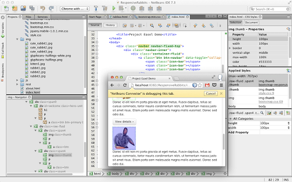 Chrome NetBeans IDE开发插件  V1.1.2官方版