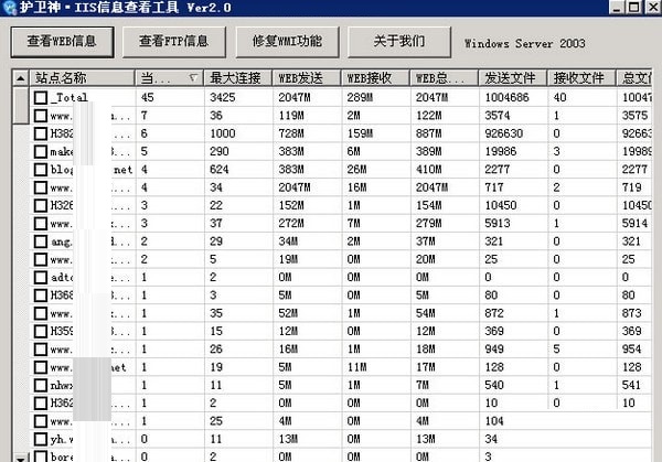 护卫神IIS信息查看工具绿色免费版