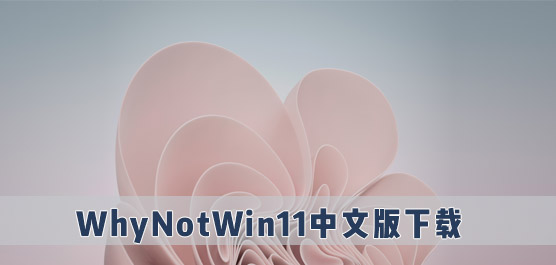 WhyNotWin11中文版下载