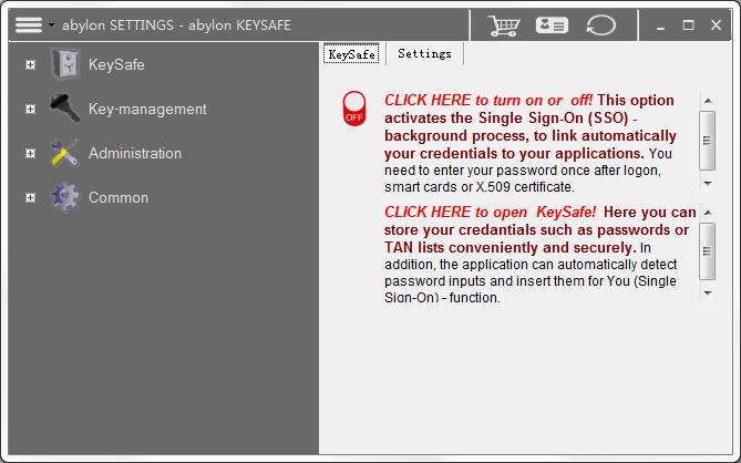 Abylon KEYSAFE英文安装版(专业密码管理工具)