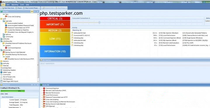 Netsparker中文免费版(web应用安全扫描工具)
