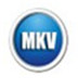 闪电MKV AVI转换器官方安装版