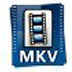 艾奇MKV视频格式转换器官方安装版