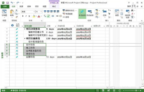 Microsoft Office Project Pro 2007 简体中文版