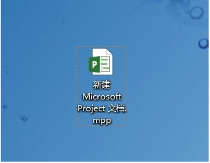 Microsoft Office Project Pro 2007 简体中文版