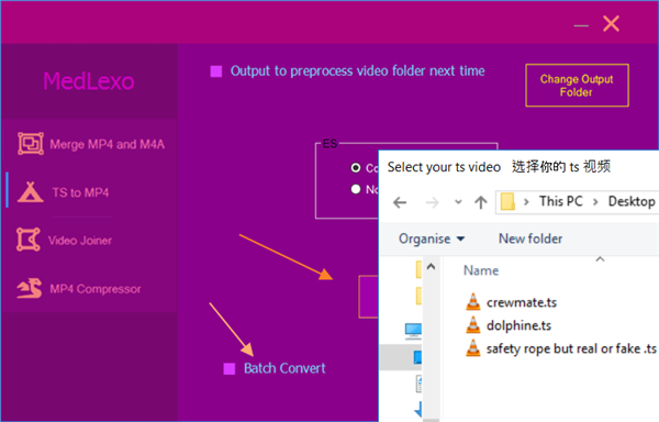 Medlexo Eclipse绿色英文版(批量TS转MP4)