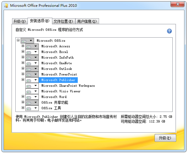 Microsoft Office Publisher 2010(附密钥)