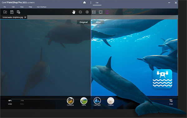 Corel PaintShop Pro 2021中文特别版(照片编辑软件)