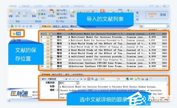 医学文献王中英文安装版